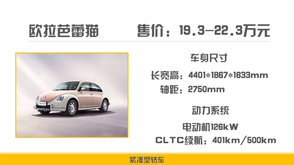 欧拉芭蕾猫上市,售价19.3-22.3万元,主打女性消费群体